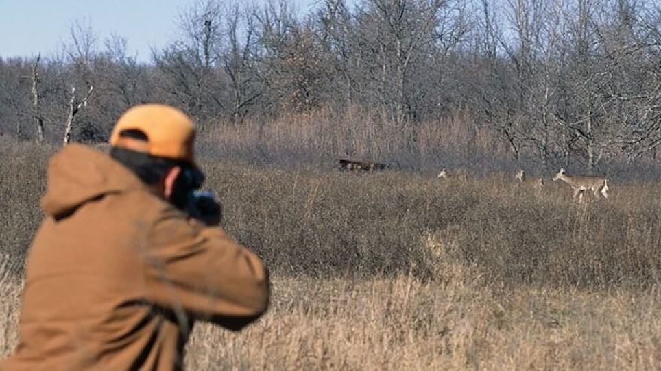 Hunters Not Shoot Doe
