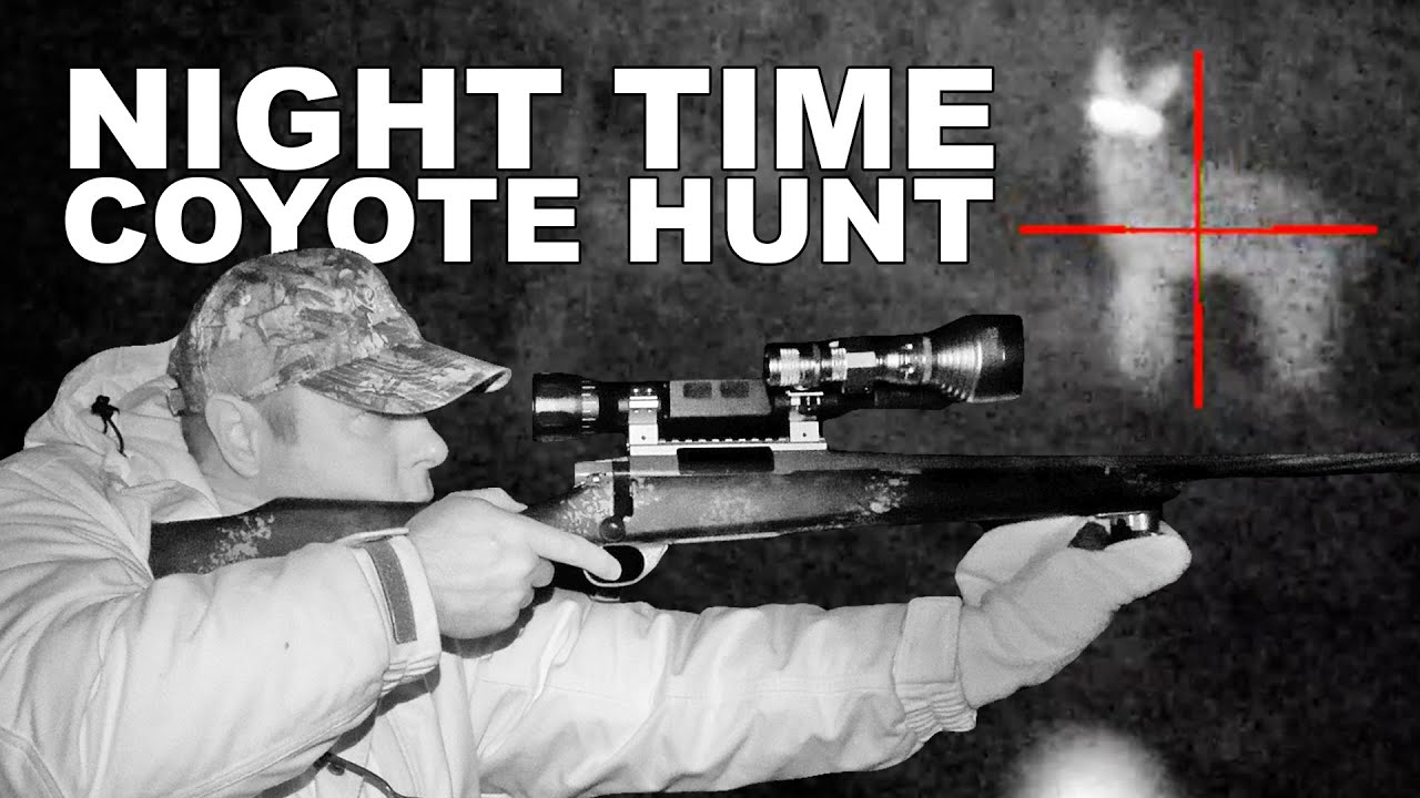 Can You Coyote Hunt at Night During Deer Season? A Guide to Night Hunting Regulations