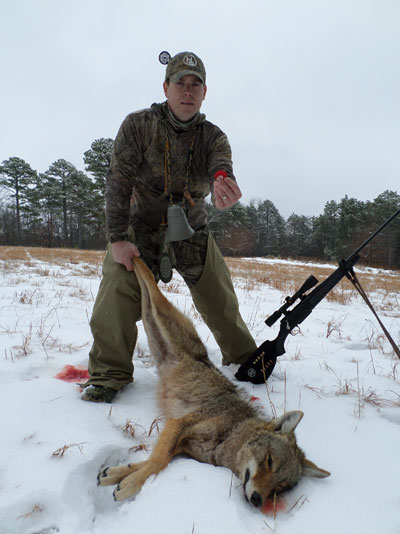 Can You Hunt Coyotes in the Summer? Find Out the Best Time and Tips!