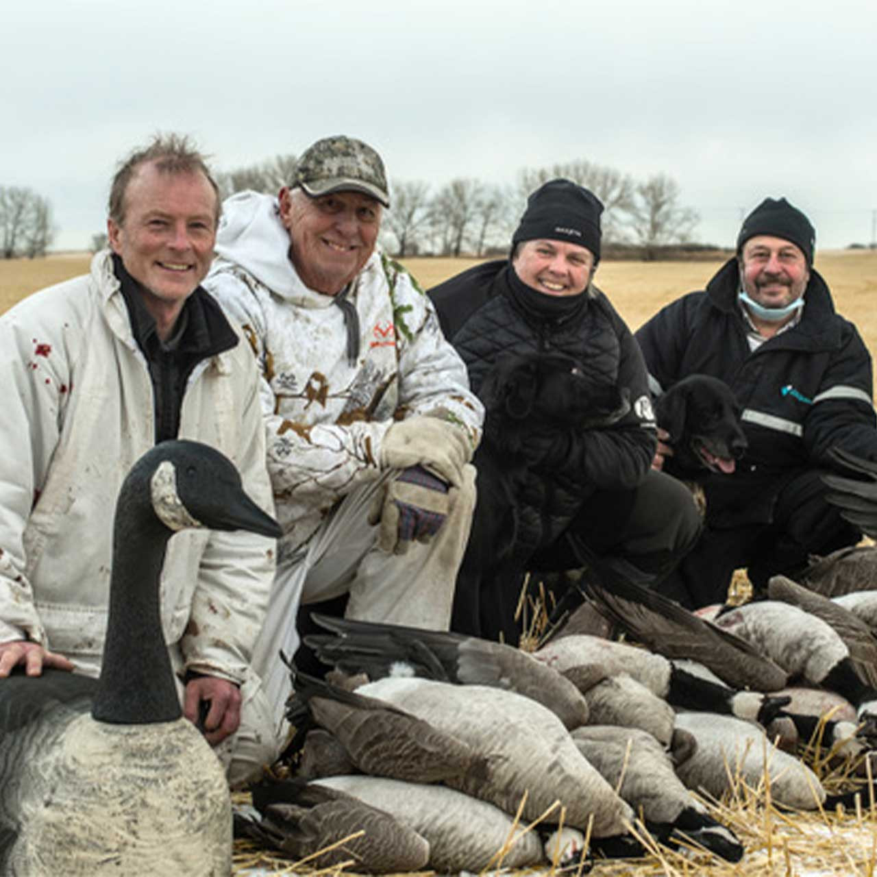 Goose Hunting Alberta