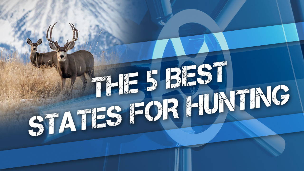 Goose Hunting East Texas: The Ultimate Guide for Success