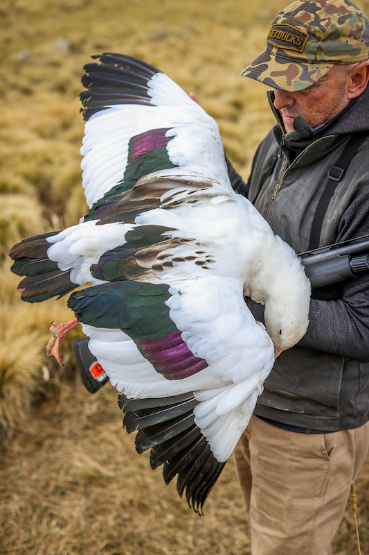 Goose Hunting Nebraska