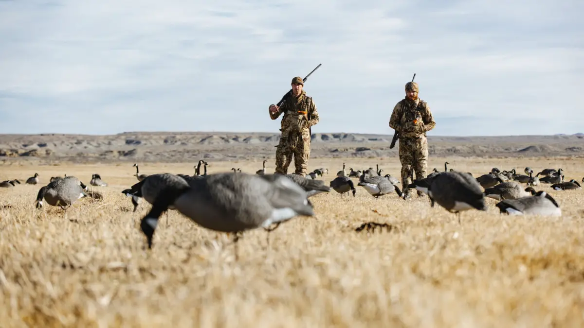 Goose Hunting Oklahoma