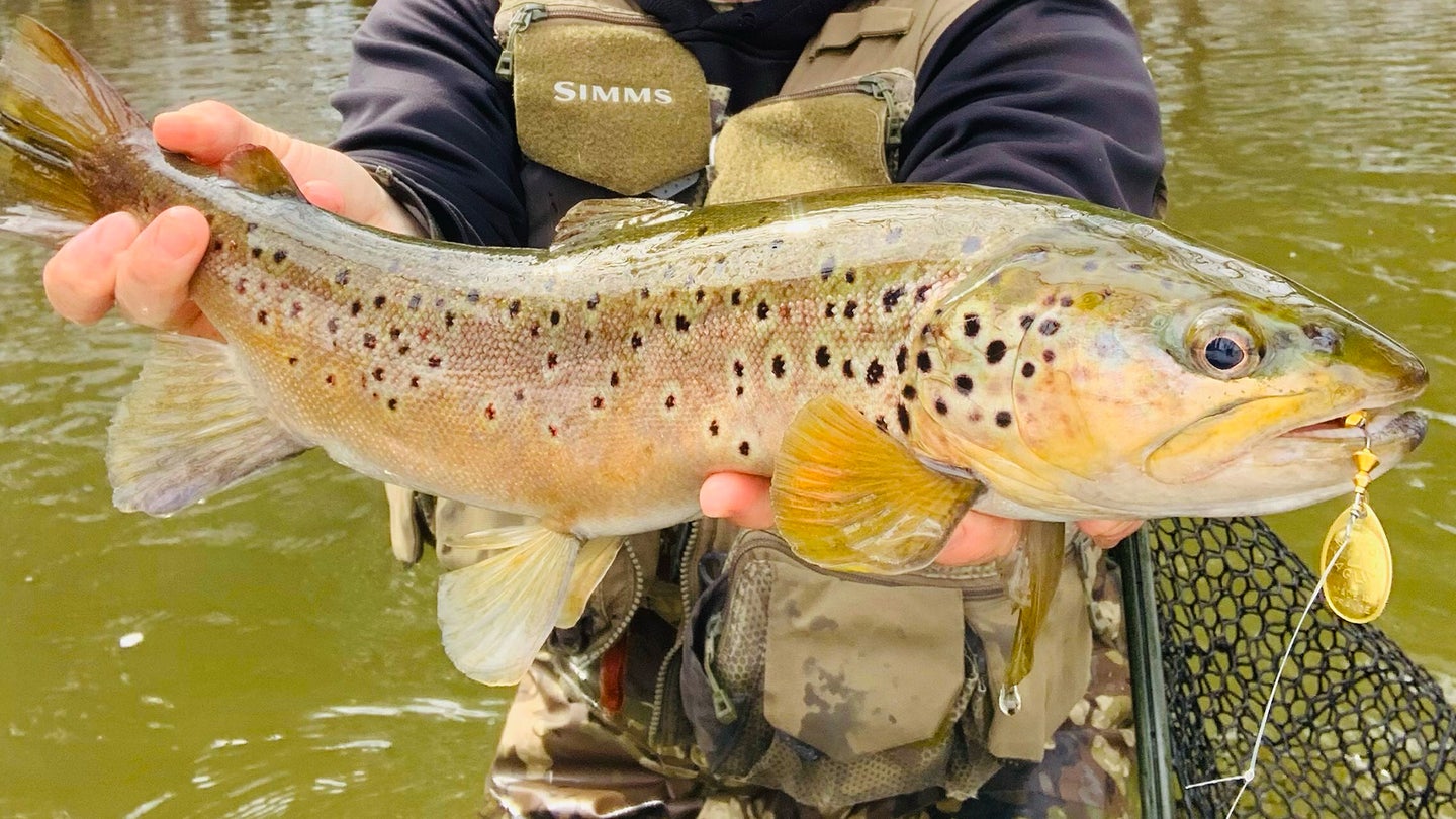 How to Fish for Rainbow Trout in a River: Expert Tips and Techniques