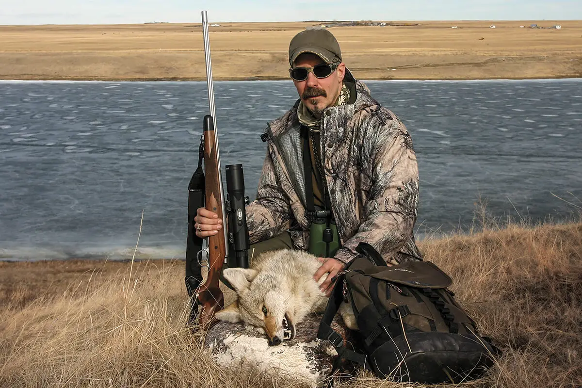 Is a .17 Hmr Good for Coyote Hunting