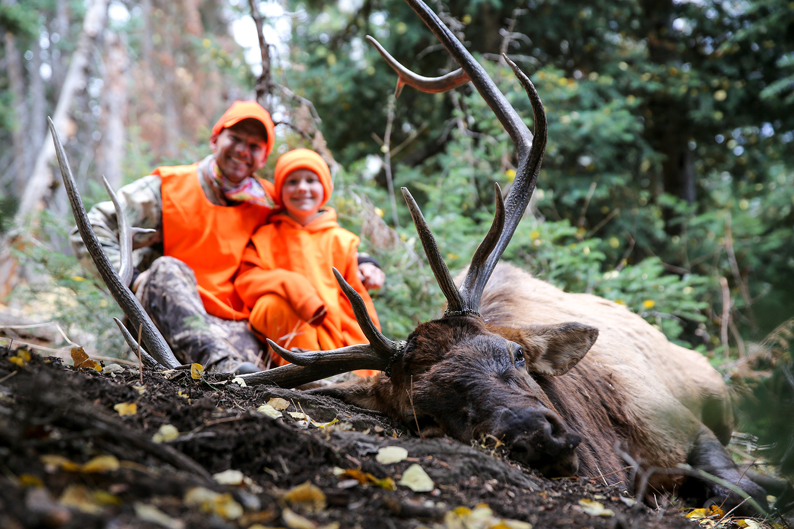 San Juan National Forest Elk Hunting