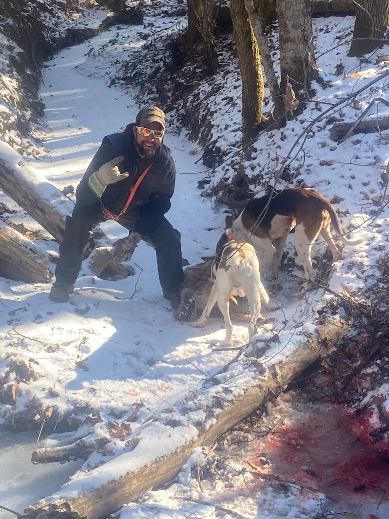 Vermont Coyote Hunting Laws