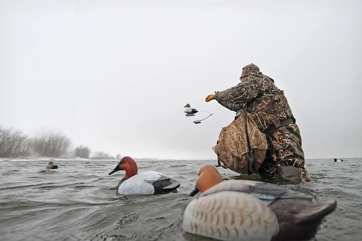 Duck Hunting Season Alaska