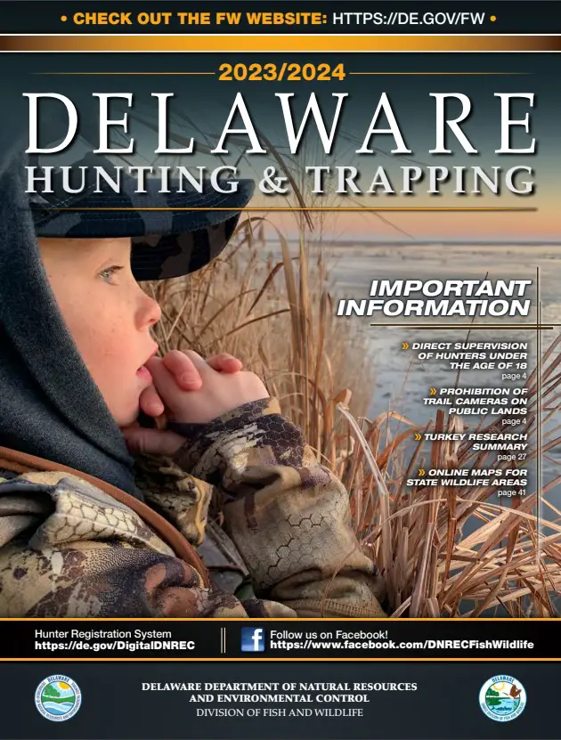 Duck Hunting Season Delaware