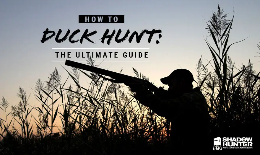 Duck Hunting Season Indiana Your Ultimate Guide to Waterfowl Hunting