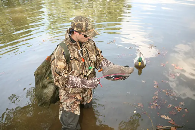 Duck Hunting Season Kentucky: Discover the Best Waterfowl Hunting Spots!