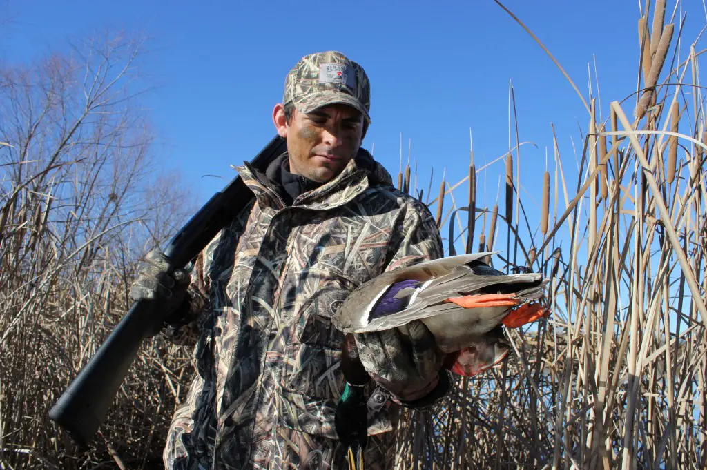 Duck Hunting Season Ohio