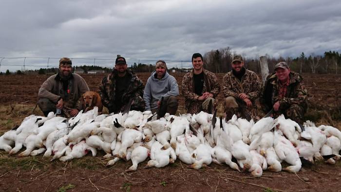 Duck Hunting Season Quebec