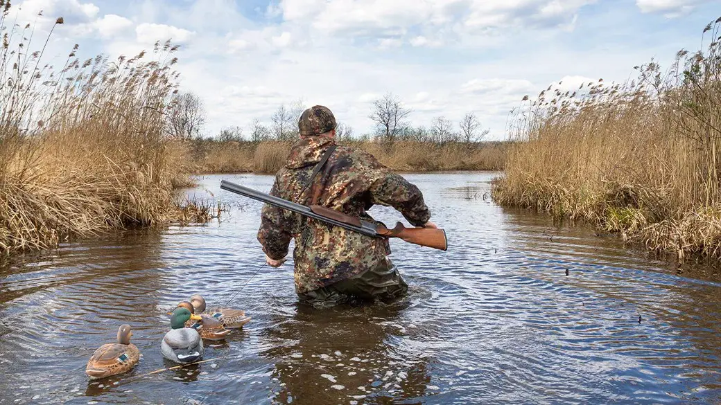 How Much is a Mississippi Duck Hunting License: Everything You Need to Know